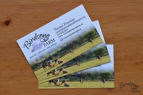 Birdsong Farm business cards