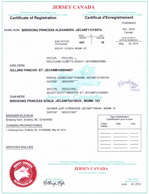 Jersey Canada Registration Papers