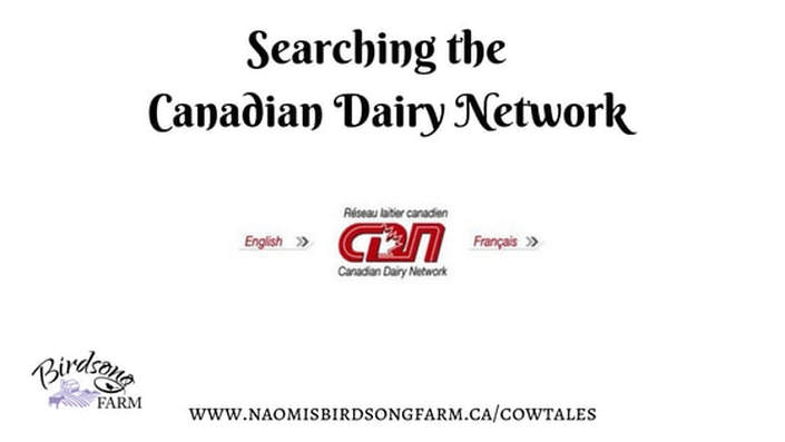 Searching the Canadian Dairy Network (April 19, 2014) If you raise registered dairy cattle or want to research your new family cow, you should check out the Canadian Dairy Network. This amazing website is where you can search for the registrations and records of eight breeds of dairy cattle: Ayrshire, Brown Swiss, Canadienne, Guernsey, Holstein, Jersey, Milking Shorthorn, and Norwegian Red. 